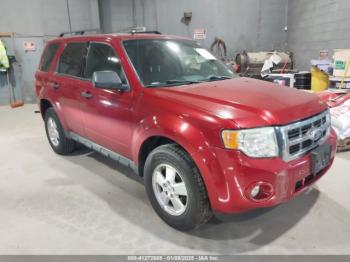  Salvage Ford Escape