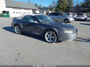  Salvage Ford Mustang