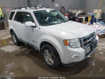  Salvage Ford Escape