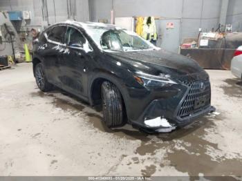  Salvage Lexus NX