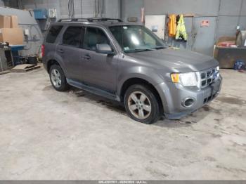  Salvage Ford Escape
