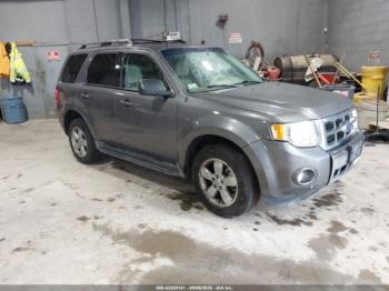  Salvage Ford Escape