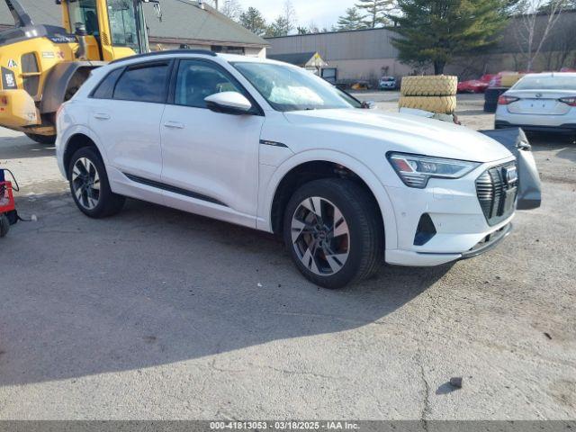  Salvage Audi e-tron