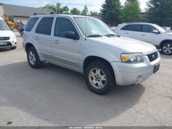  Salvage Ford Escape