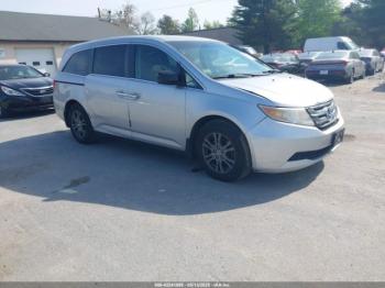  Salvage Honda Odyssey