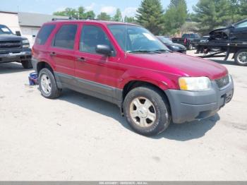  Salvage Ford Escape