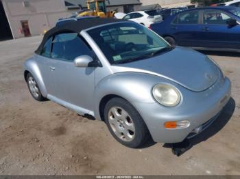  Salvage Volkswagen Beetle