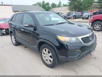  Salvage Kia Sorento