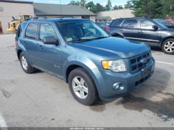  Salvage Ford Escape