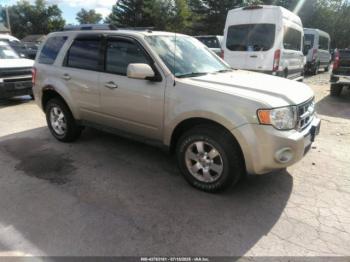  Salvage Ford Escape