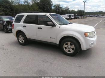  Salvage Ford Escape