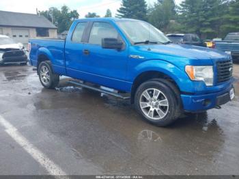  Salvage Ford F-150