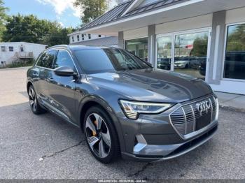  Salvage Audi e-tron