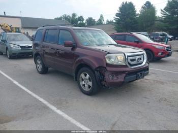  Salvage Honda Pilot