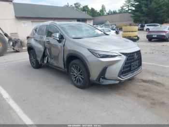  Salvage Lexus NX