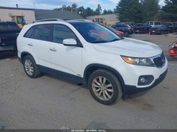  Salvage Kia Sorento