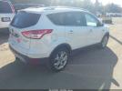Ford Escape Titanium Image 4