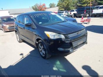  Salvage Ford Escape