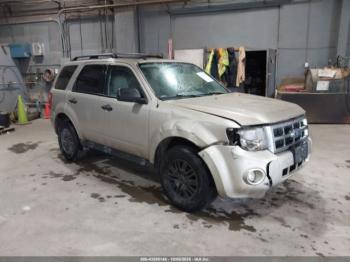  Salvage Ford Escape