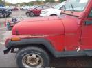 Jeep Wrangler Image 4