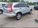 Honda CR-V Ex Image 6