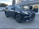 Lexus Gx Premium Image 1