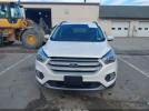 Ford Escape Sel Image 8