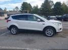 Ford Escape Sel Image 6