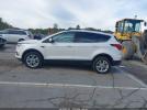 Ford Escape Sel Image 9