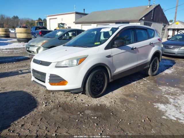 Ford Escape S Image 2