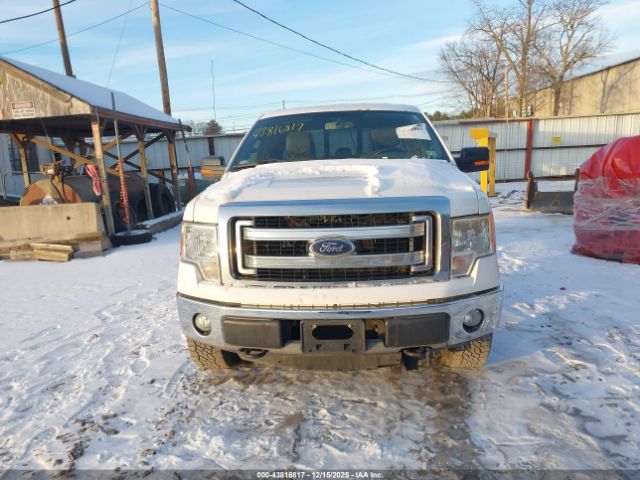 Ford F-150 Xlt Image 8