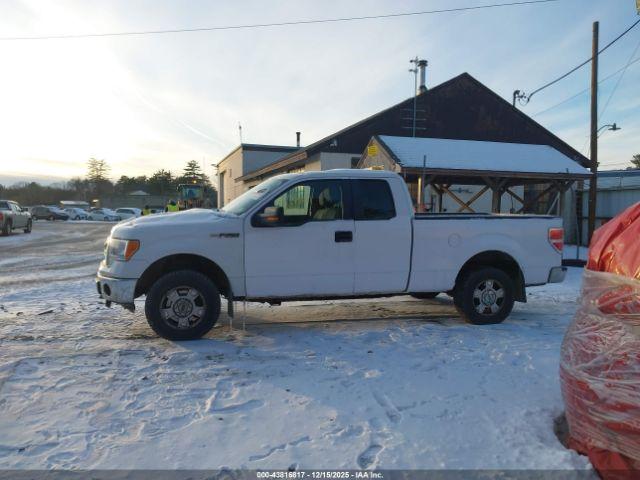 Ford F-150 Xlt Image 7