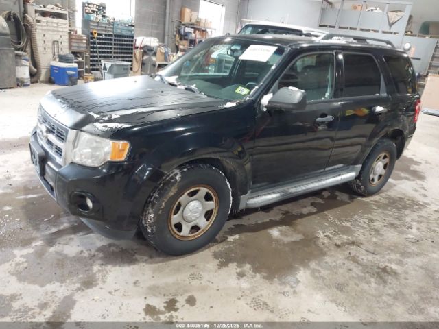 Ford Escape Xlt Image 6