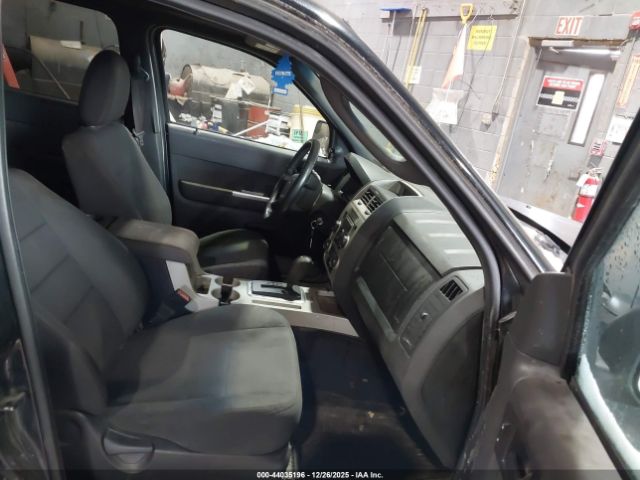 Ford Escape Xlt Image 5