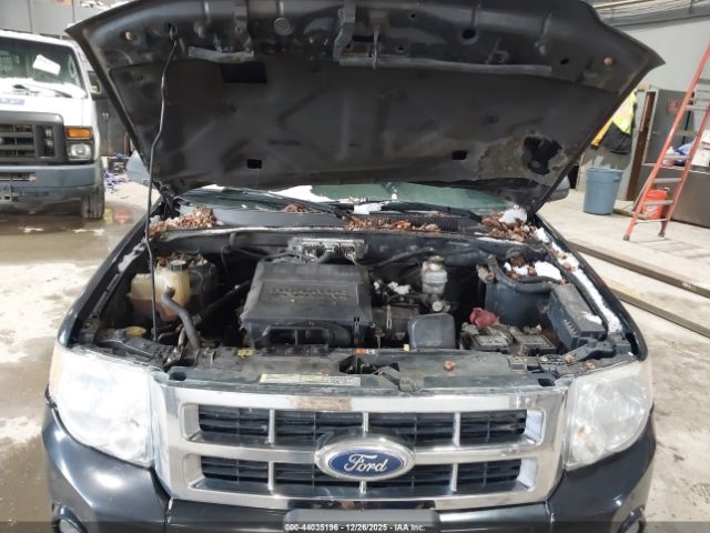 Ford Escape Xlt Image 11