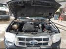 Ford Escape Xlt Image 11