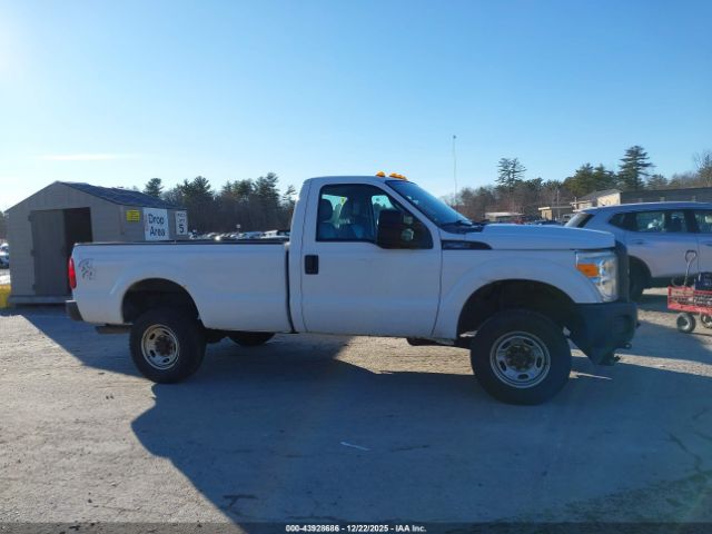 Ford F-250 Xl Image 13