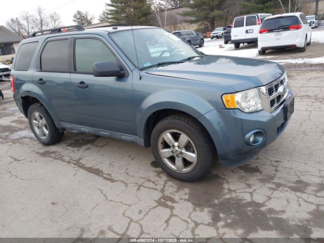 Ford Escape Xlt Image 1