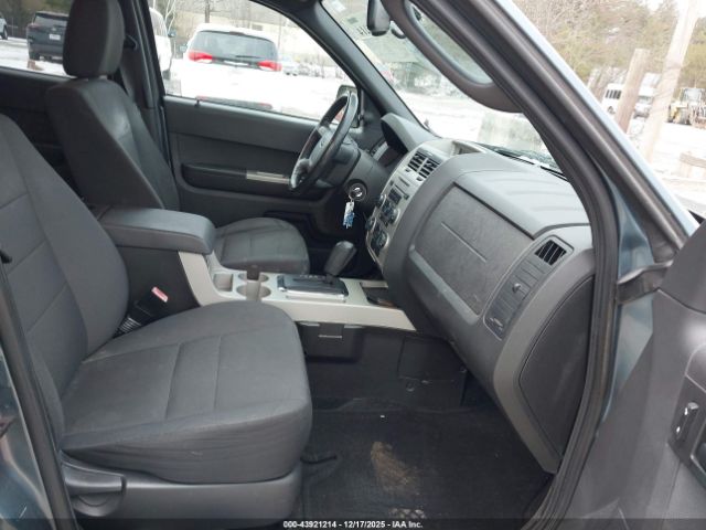 Ford Escape Xlt Image 7